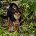 guide_nusalavu_v_0705_0049.jpg